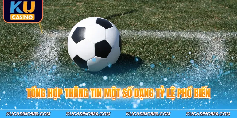 Tổng hợp thông tin một số dạng tỷ lệ phổ biến